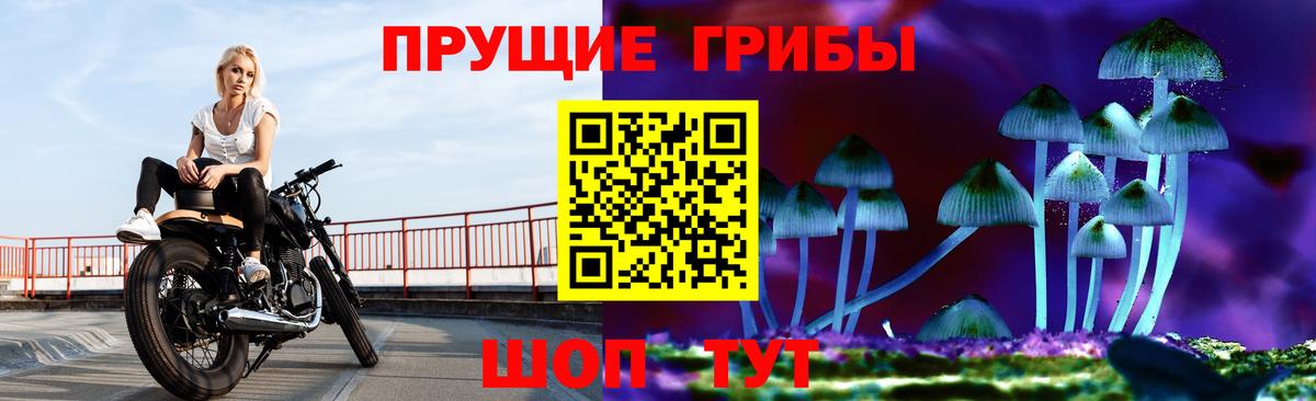 Галлюциногенные грибы мухоморы Советская Гавань